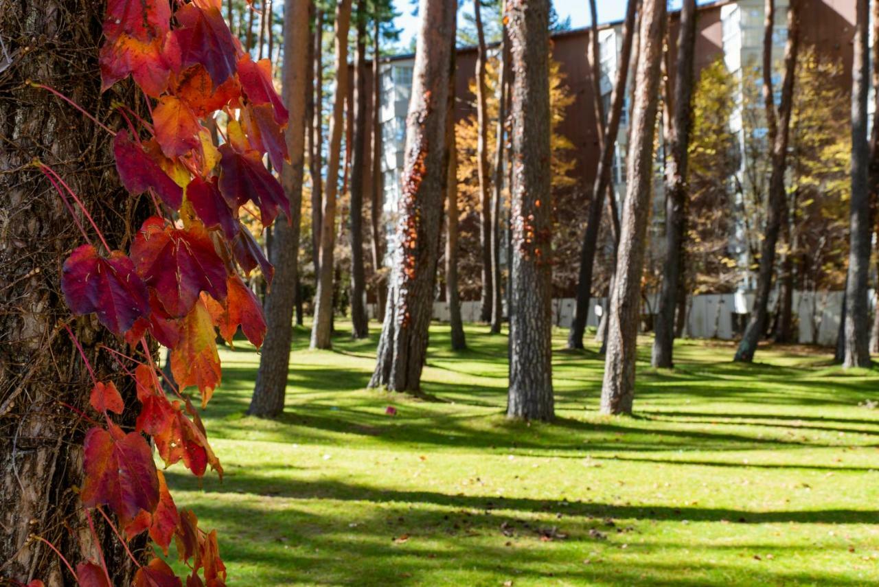 Fuji Premium Resort Fujikawaguchiko Dış mekan fotoğraf